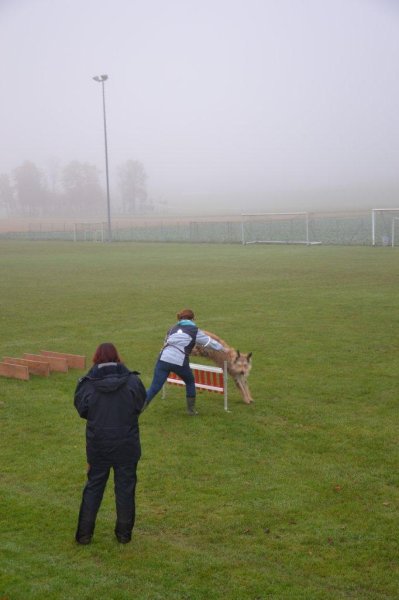 Championnat suisse AF 2012 – photo 5