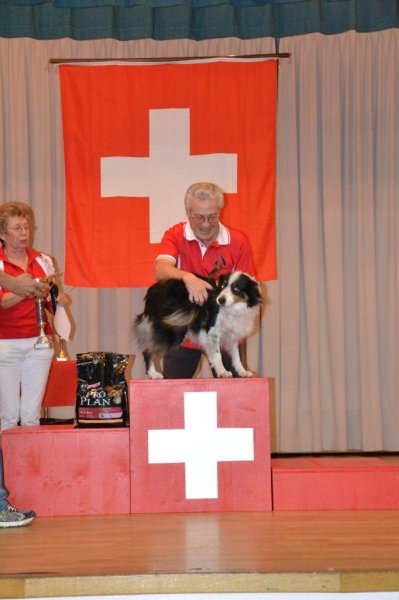 Championnat suisse AF 2012 – photo 20
