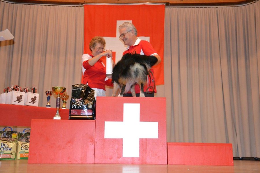 Championnat suisse AF 2012 – photo 21