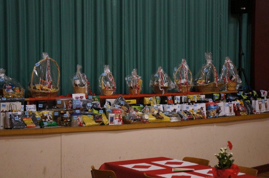 Championnat suisse AF 2012 – photo 33
