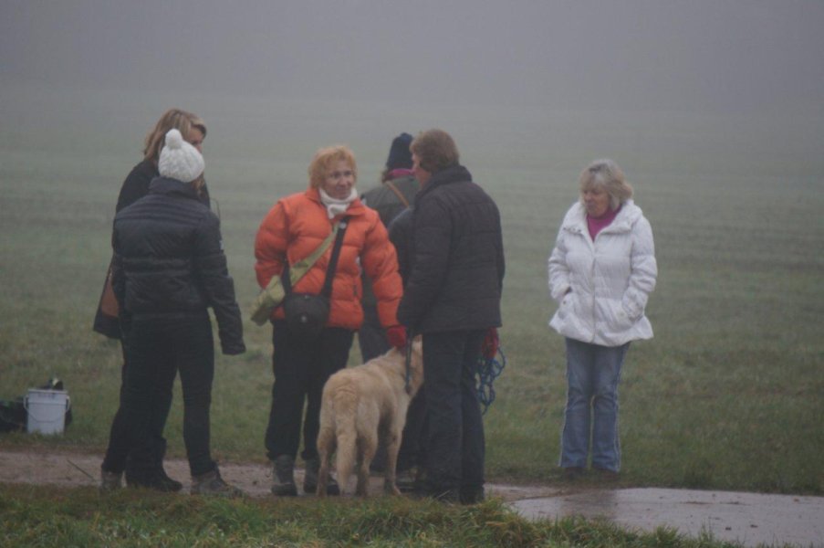 Championnat suisse AF 2012 – photo 40