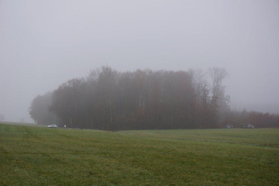 Championnat suisse AF 2012 – photo 43