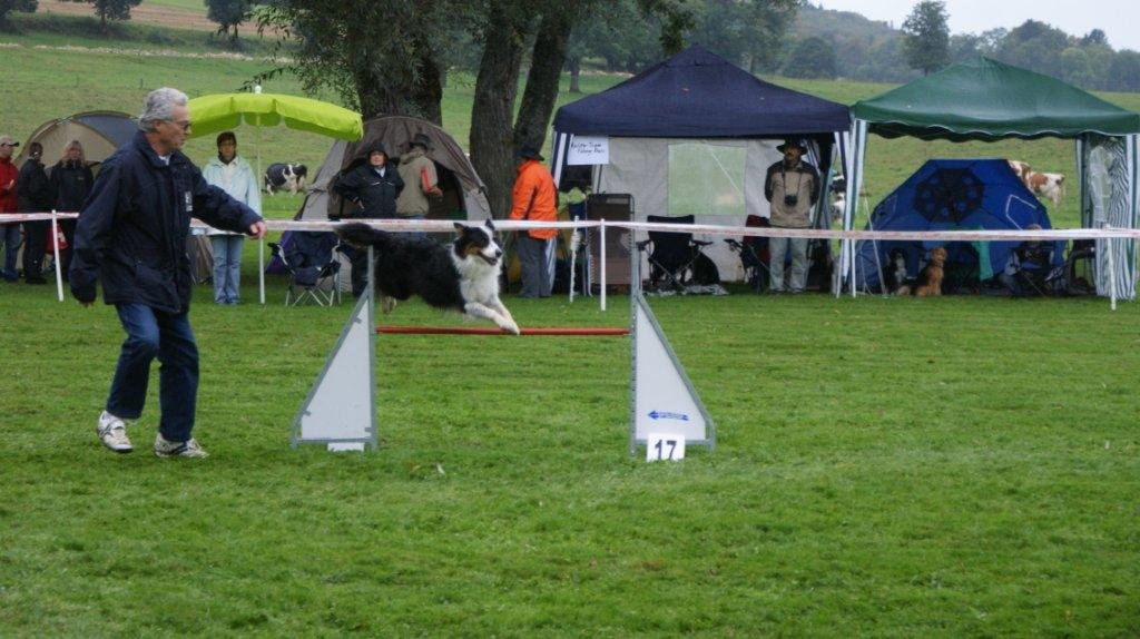 Championnat suisse agility 2012 – photo 4