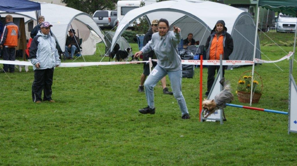 Championnat suisse agility 2012 – photo 6