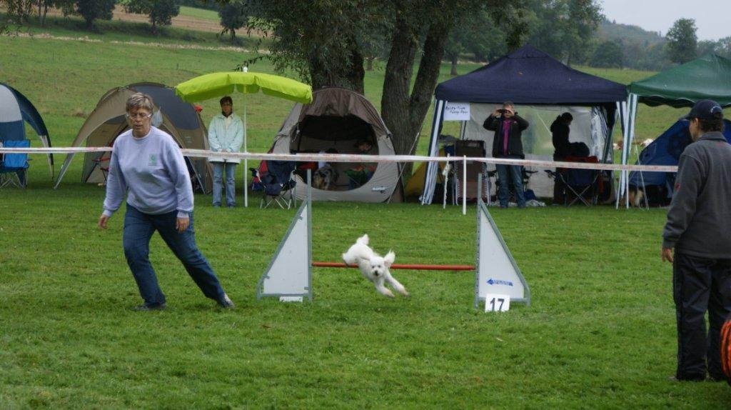 Championnat suisse agility 2012 – photo 7