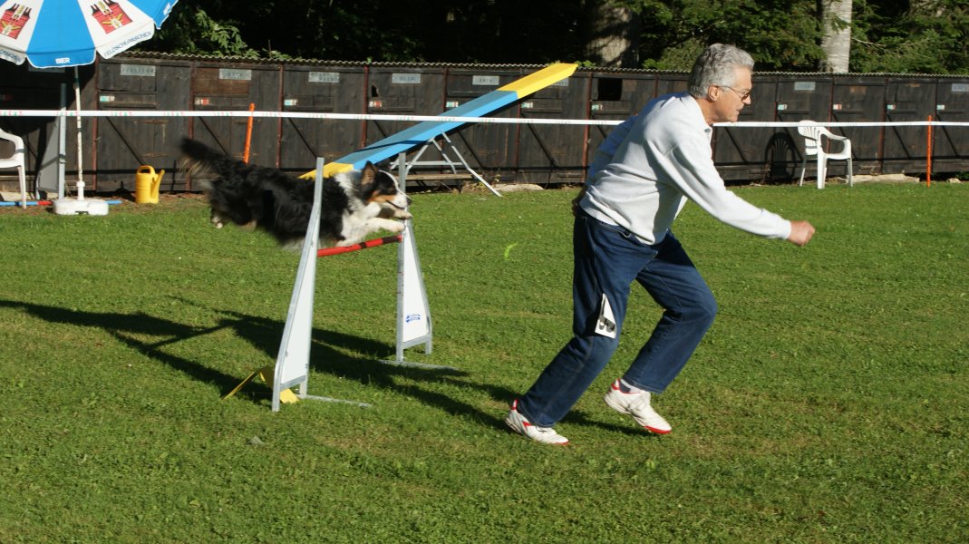 Concours agility S.E.C. 2012
