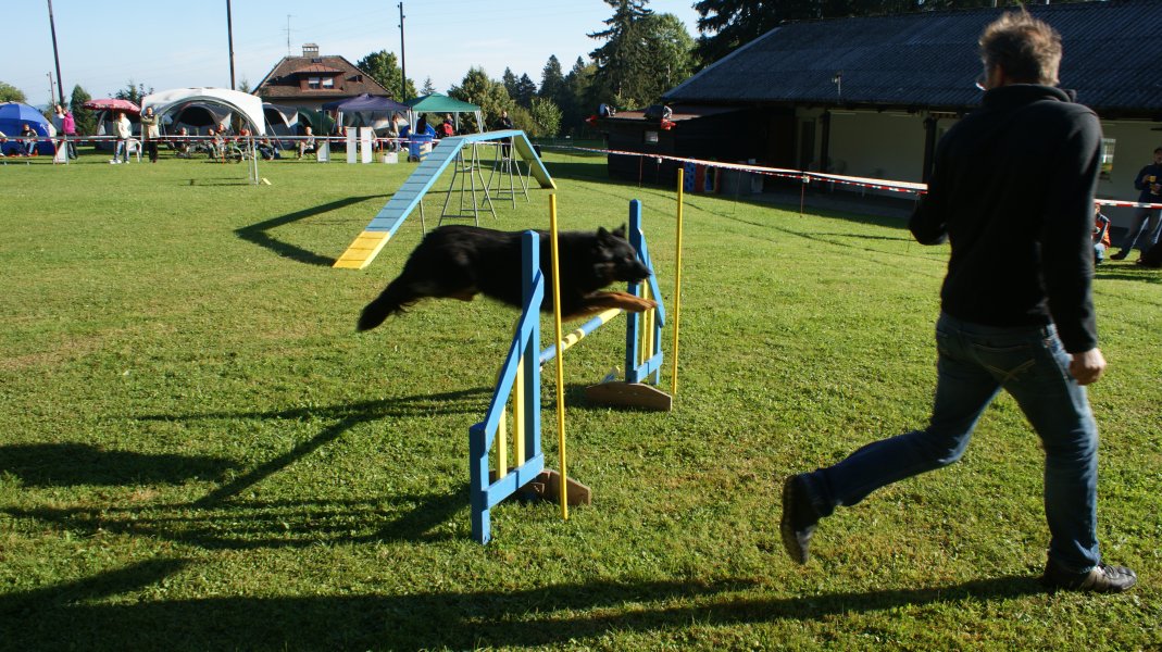 Concours agility S.E.C. 2012 – photo 3