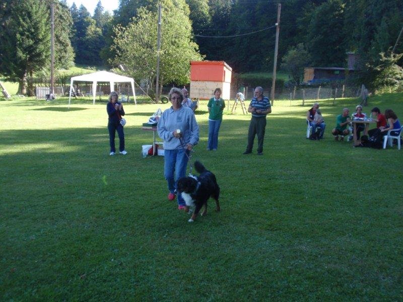 Concours agility S.E.C. 2012 – photo 11