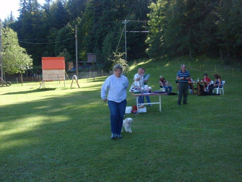 Concours agility S.E.C. 2012 – photo 12