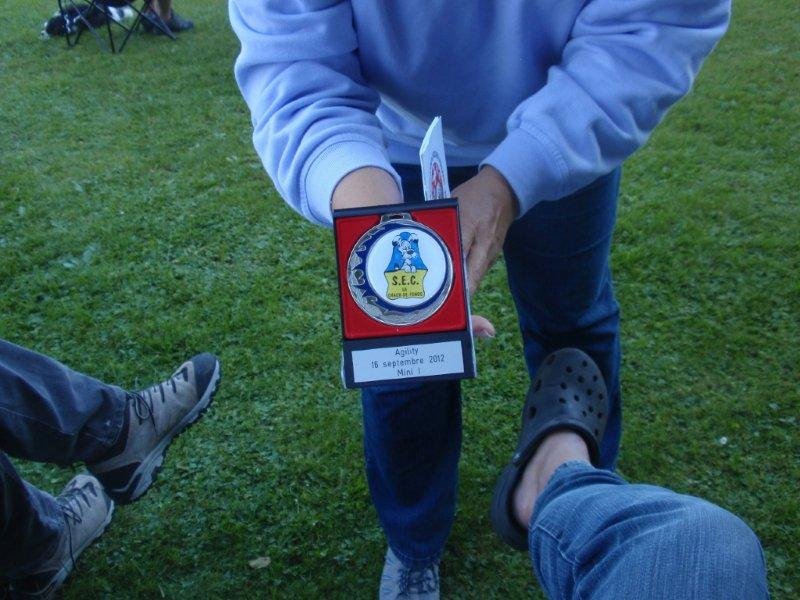 Concours agility S.E.C. 2012 – photo 13