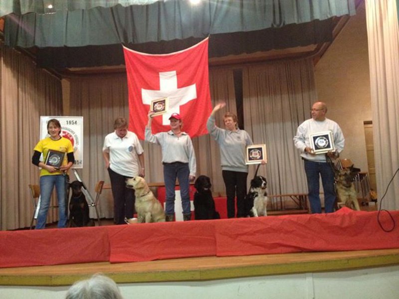 Championnat suisse AF 2013