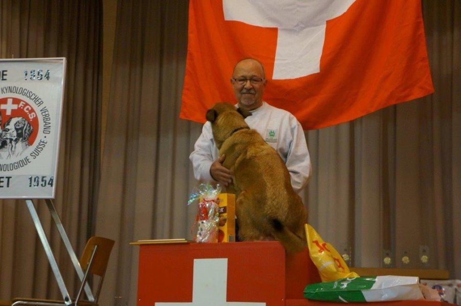 Championnat suisse AF 2013 – photo 2