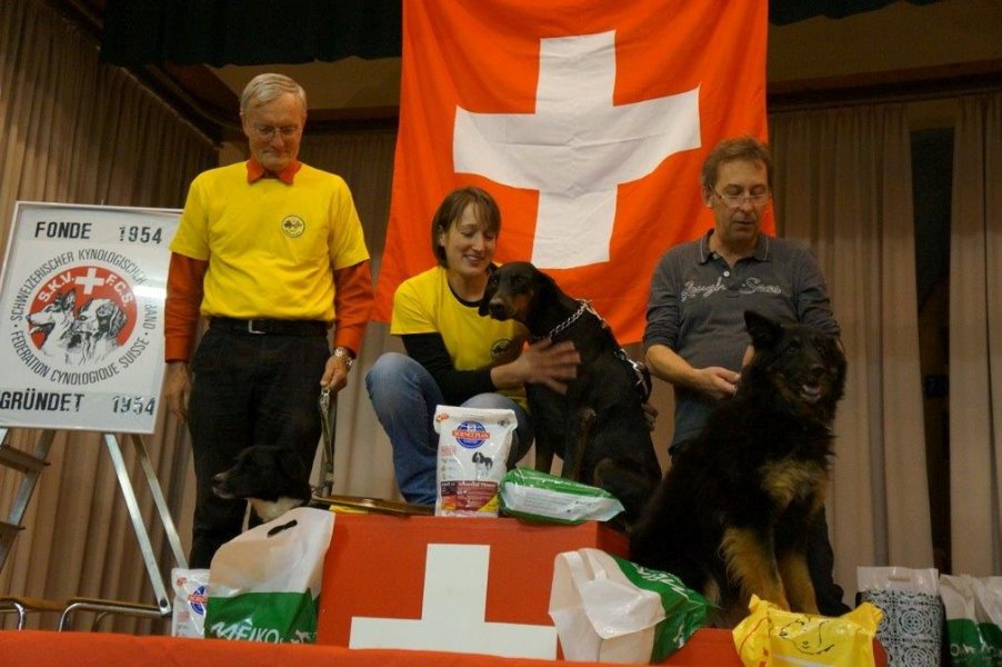 Championnat suisse AF 2013 – photo 3