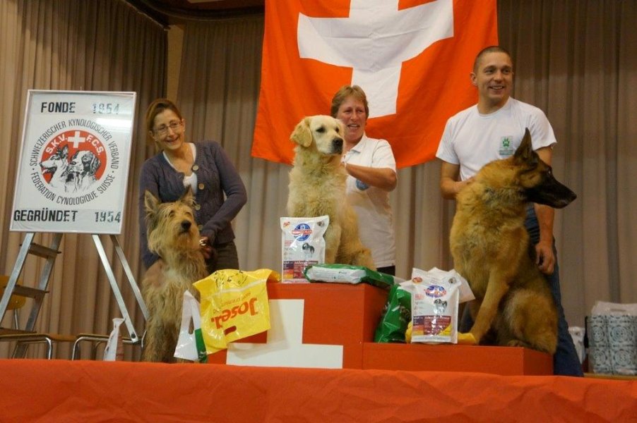 Championnat suisse AF 2013 – photo 4