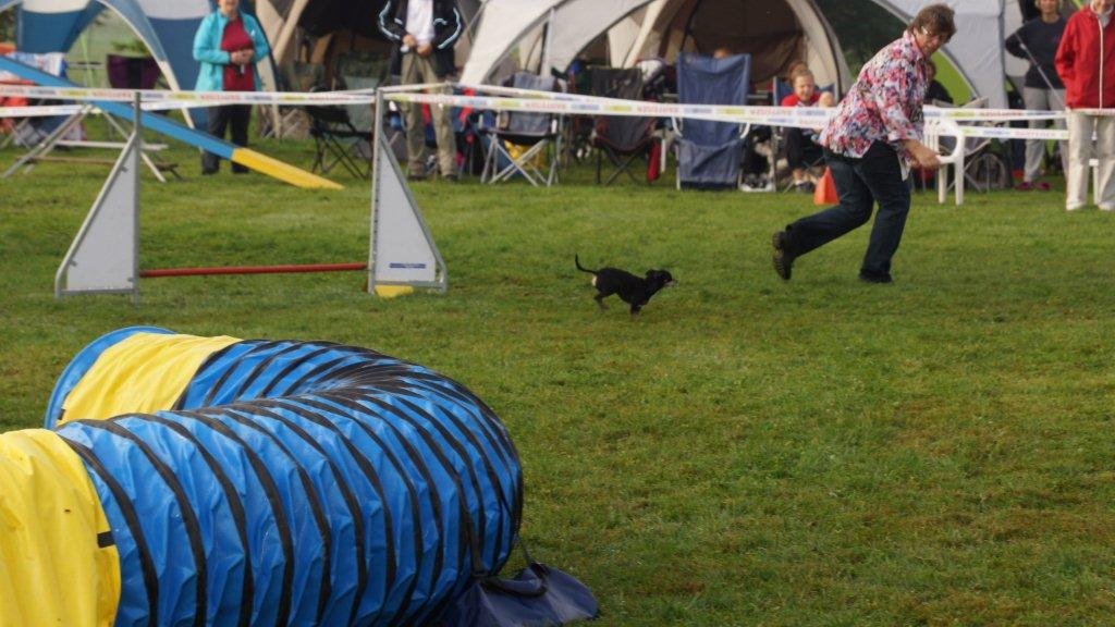 Championnat suisse agility 2013 – photo 5