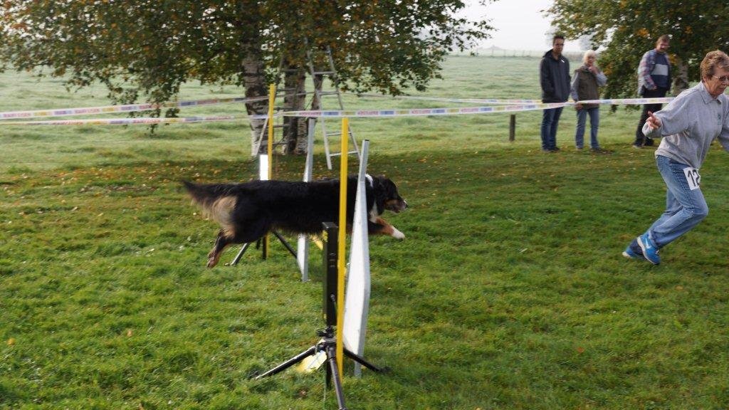 Championnat suisse agility 2013 – photo 6