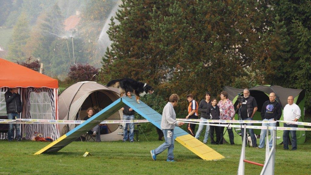 Championnat suisse agility 2013 – photo 7