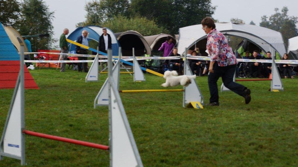 Championnat suisse agility 2013 – photo 10