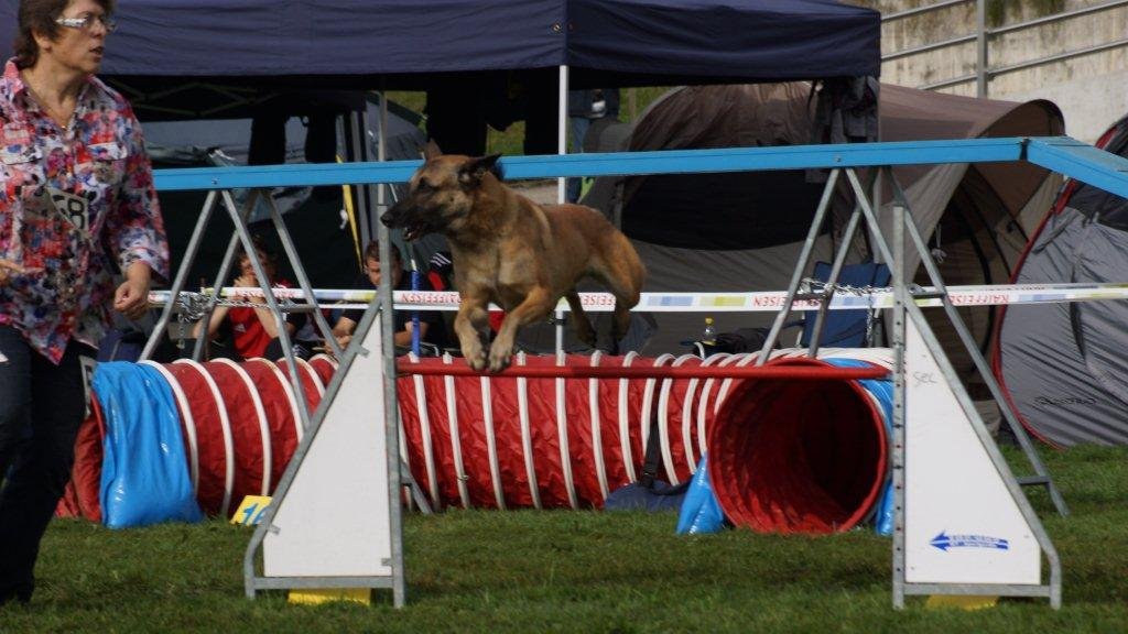Championnat suisse agility 2013 – photo 12