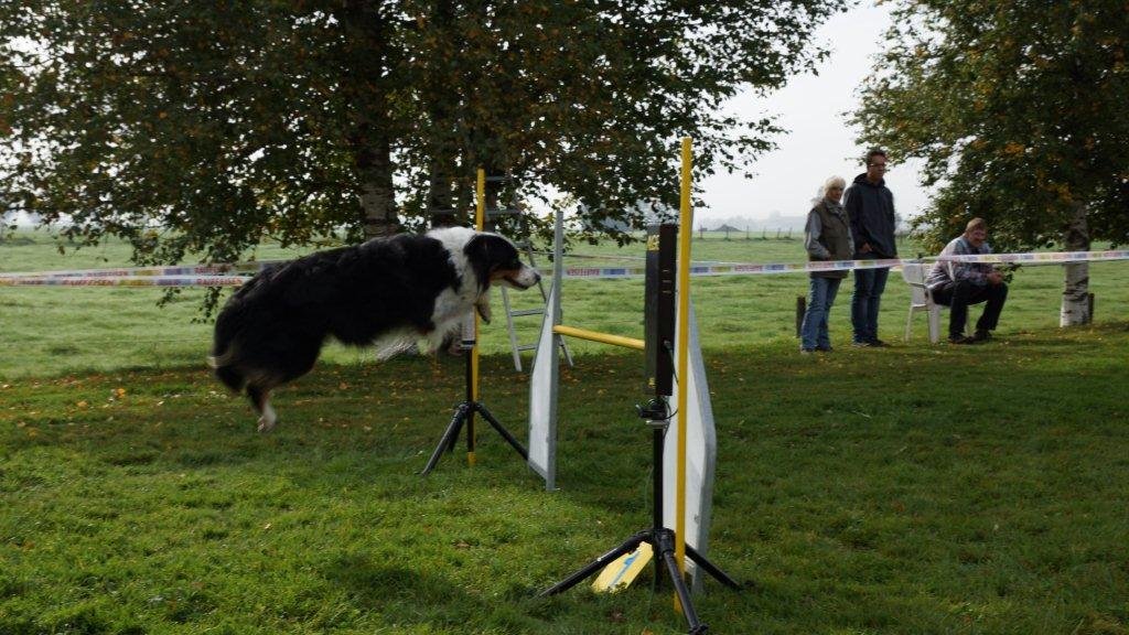 Championnat suisse agility 2013 – photo 13