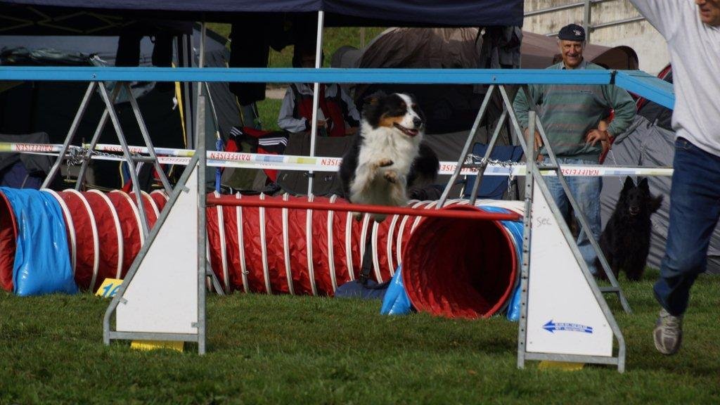 Championnat suisse agility 2013 – photo 14