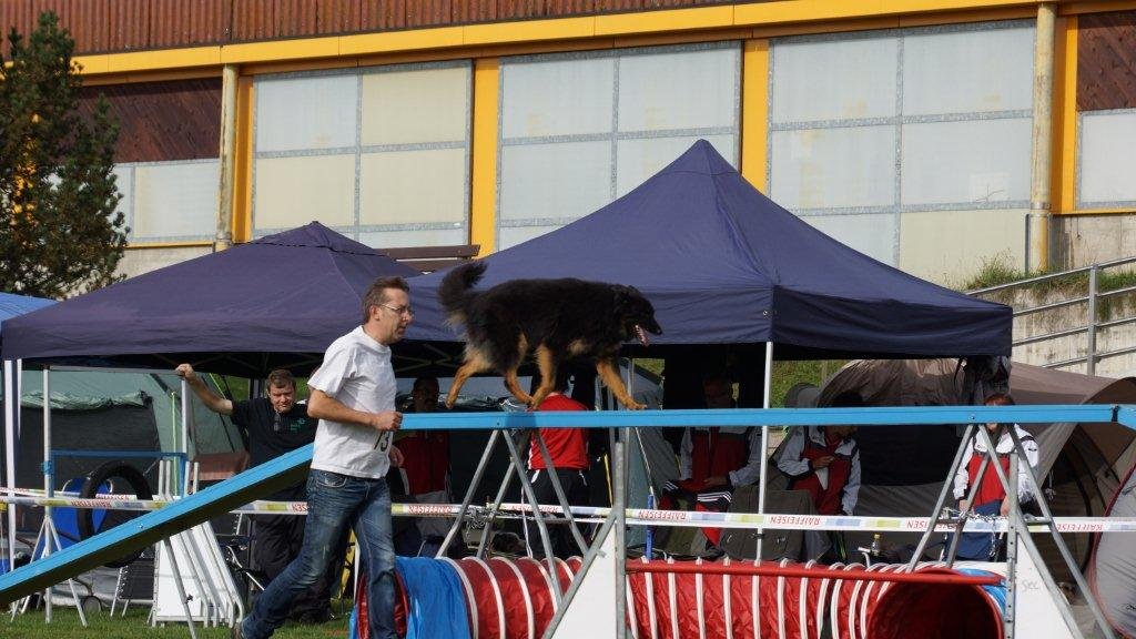 Championnat suisse agility 2013 – photo 15