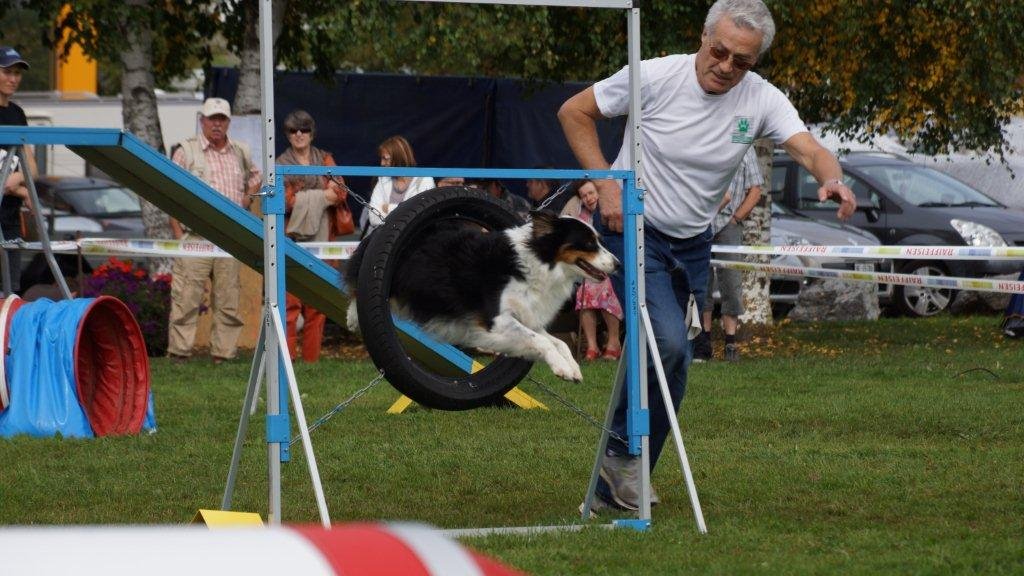 Championnat suisse agility 2013 – photo 16