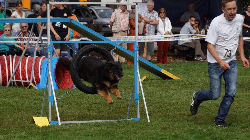 Championnat suisse agility 2013 – photo 17