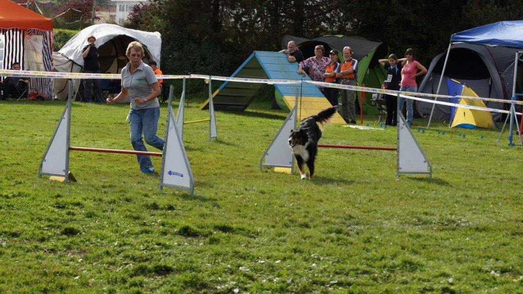 Championnat suisse agility 2013 – photo 19