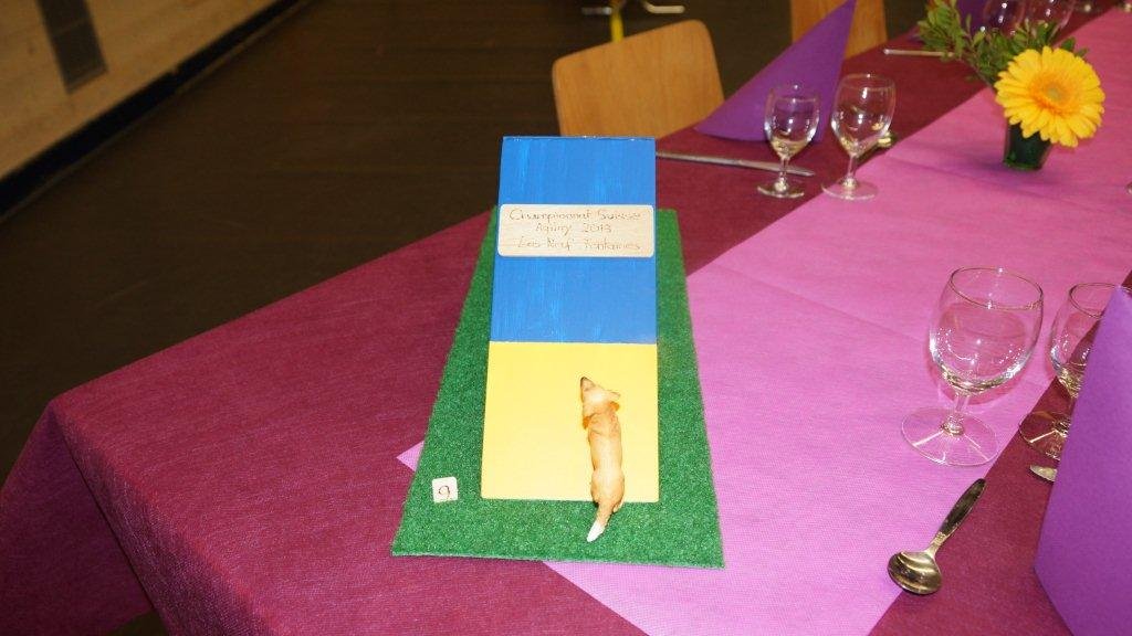 Championnat suisse agility 2013 – photo 20