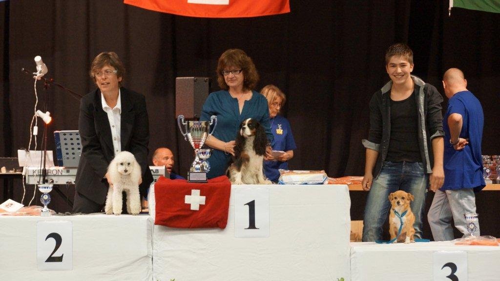 Championnat suisse agility 2013 – photo 23