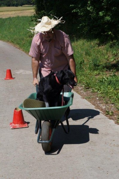 Rallye 2013 – photo 5